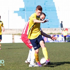 Trani calcio - Molfetta 0-0