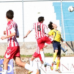 Trani calcio - Molfetta 0-0