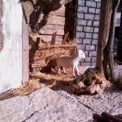 Il presepe di piazza della Libertà