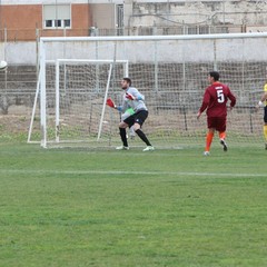 Usc Trani - V.Francavilla: la fotogallery del match