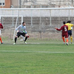 Usc Trani - V.Francavilla: la fotogallery del match