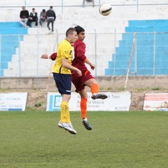 Usc Trani - V.Francavilla: la fotogallery del match