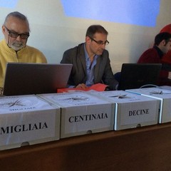 Sorteggio degli scrutatori al Comune di Trani