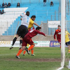 Usc Trani - V.Francavilla: la fotogallery del match