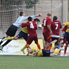 Usc Trani - V.Francavilla: la fotogallery del match