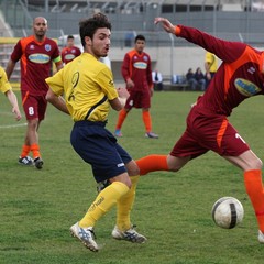 Usc Trani - V.Francavilla: la fotogallery del match