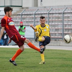 Usc Trani - V.Francavilla: la fotogallery del match