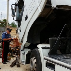 Operazione dei Carabinieri di Trani: recuperati 240 quintali di nocciole rubate Due arresti e quattro denunce, 50mila euro il valore del carico