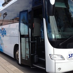 Nuovo autobus turistico della Stp