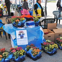 Inaugurazione sede di Andria della Misericordia