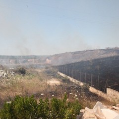 Incendio delle sterpaglie presso l'ex discarica Amiu di Trani