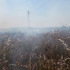 Incendio delle sterpaglie presso l'ex discarica Amiu di Trani