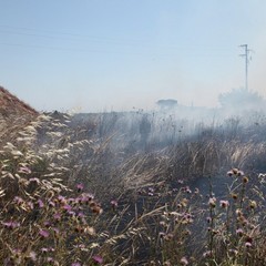 Incendio delle sterpaglie presso l'ex discarica Amiu di Trani