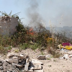 Incendio delle sterpaglie presso l'ex discarica Amiu di Trani