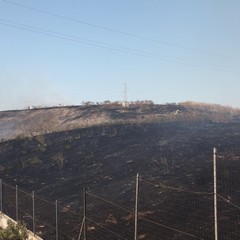 Incendio delle sterpaglie presso l'ex discarica Amiu di Trani