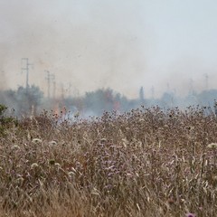 Incendio delle sterpaglie presso l'ex discarica Amiu di Trani