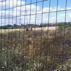 Intervento dei Vigili del Fuoco nei pressi dell'ospedale di Trani