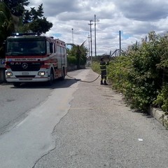 Intervento dei Vigili del Fuoco nei pressi dell'ospedale di Trani