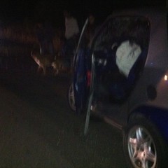 Incidente stradale sulla Trani-Corato