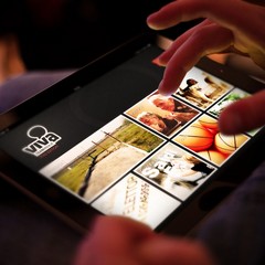 TraniViva HD, la prima applicazione iPad di Trani