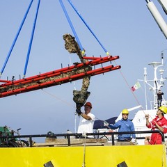 Recupero ancora Papagno al largo di Trani