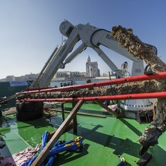 Recupero ancora Papagno al largo di Trani