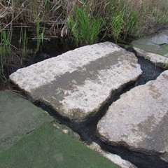 Legambiente a Boccadoro