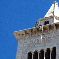 Malcangi sul campanile della Cattedrale