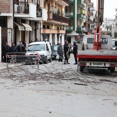 Maltempo, albero cade sui binari in via Corato