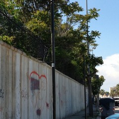 Nuovi impianti pubblicitari sul lungomare di Trani