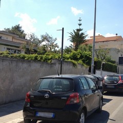 Nuovi impianti pubblicitari sul lungomare di Trani