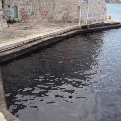 Chiazza di petrolio nel porto di Trani