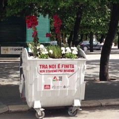 Cactus nei cassonetti Amiu