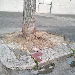 Marciapiede divelto in piazza Plebiscito