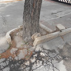 Strade e marciapiedi rotti a Pozzopiano