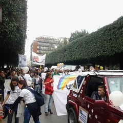 Protesta contro riapertura Dog's Hostel