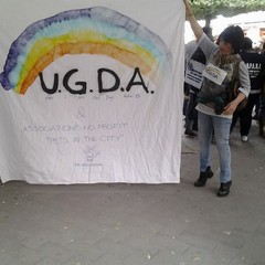 Protesta contro riapertura Dog's Hostel