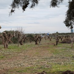 Presentazione lavori sulla provinciale Trani-Andria