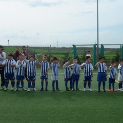 I piccoli della Virtus Trani