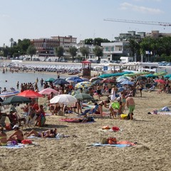 Ambientiamoci: interventi di pulizia a Colonna