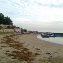 Ripulita la spiaggia di Colonna
