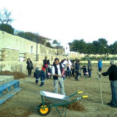 Ripulita la spiaggia di Colonna