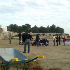 Ripulita la spiaggia di Colonna