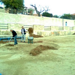 Ripulita la spiaggia di Colonna