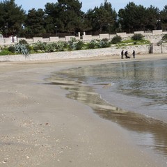 Pulizia della spiaggia di Colonna: conferenza stampa del sindaco Riserbato