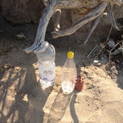 Un rave party a Trani Boccadoro