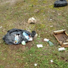 Sacchetti di rifiuti sulla provinciale Andria-Bisceglie