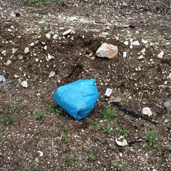 Sacchetti di rifiuti sulla provinciale Andria-Bisceglie