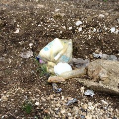 Sacchetti di rifiuti sulla provinciale Andria-Bisceglie
