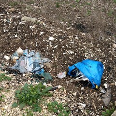 Sacchetti di rifiuti sulla provinciale Andria-Bisceglie